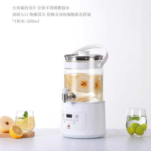 浦利顿养生桶养生壶3L带水龙头家用多功能 商品图1