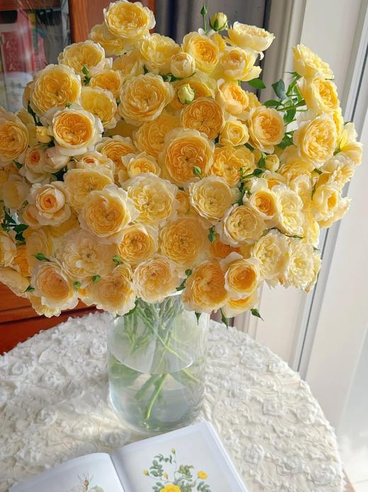 网红爆品花材蜜柚果汁多头玫瑰花10支 商品图0