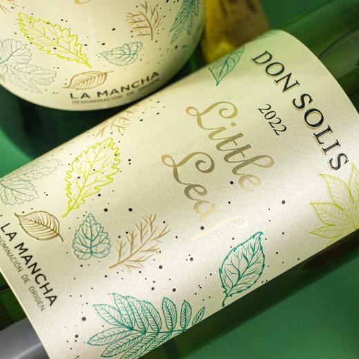 西班牙小叶 商品图9