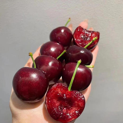 吉塞拉 大樱桃 商品图3