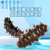 獐子岛 大连即食海参1188g 约19只 底播辽刺参 送礼礼盒 源头直发 包邮 商品缩略图3