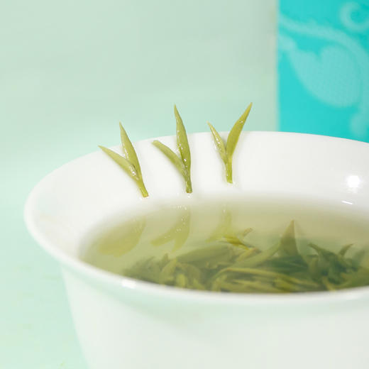 2025早春碧螺春 早春嫩芽特级碧螺春满身批白毫250g 商品图2