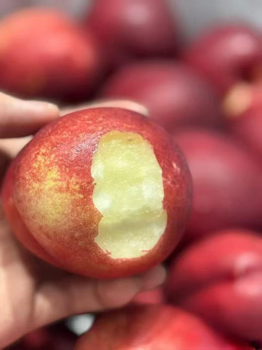 【白蜜油桃】脆甜白蜜油桃，入口脆甜，桃味浓郁，放软吃汁水更多，桃味很正！ 商品图0