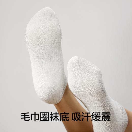 【新品上新】【毛圈底】有棵树7A级抗菌透气缓震女士短袜5双装-S3023 商品图1