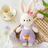 苏苏姐家甜心兔陪伴玩偶手工diy编织钩针玩偶毛线团自制材料包预 商品缩略图2