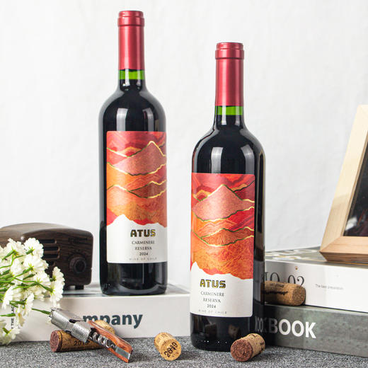 智利-阿图斯佳美娜 商品图2