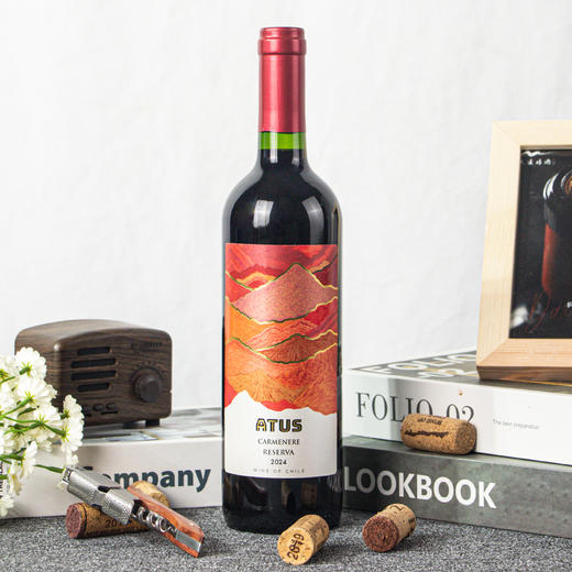 智利-阿图斯佳美娜 商品图3