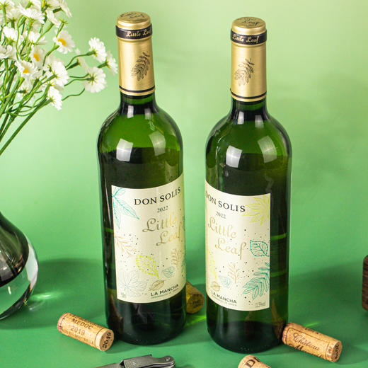 西班牙小叶 商品图3