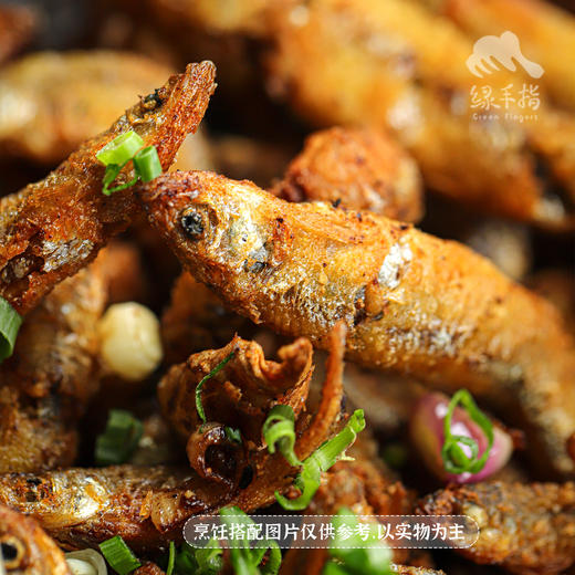 野生公鱼| 合作生产 * Carassius auratus | Partner Production 商品图2