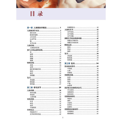 功能解剖学 第2二版 王骏等主译 探索和理解人体的结构 局部解剖和运动特点 骨骼和肌肉触诊方法 人体基本结构 辽宁科学技术出版社 商品图2