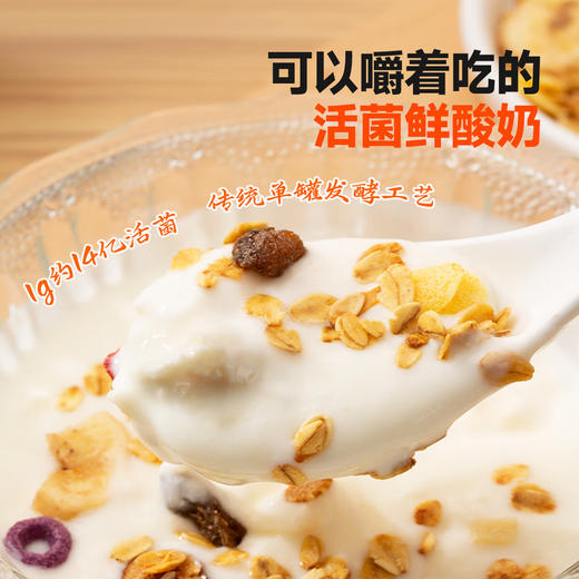 【嚼着吃的活菌鲜酸奶】顺丰包邮 爆单72小时发货 百分百牛乳厚奶皮子酸奶 内蒙古之光 非干噎冷萃酸奶 商品图2