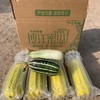 [最农公社]山东博洋羊角蜜瓜头茬博洋61号博洋9号 商品缩略图7