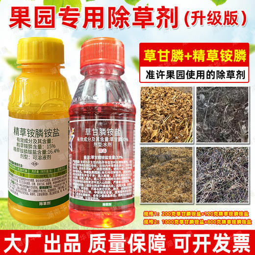 果园专用除草剂草甘膦精草铵膦茶园柑橘橡胶桑园强力除杂草烂根剂 商品图4