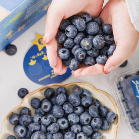 【2026当季】花香蓝莓 云南高原 口感脆甜 花香浓郁