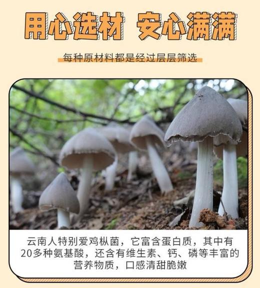 爱匠下饭酱  香菇鸡枞菌酱 （出口海外） 商品图1