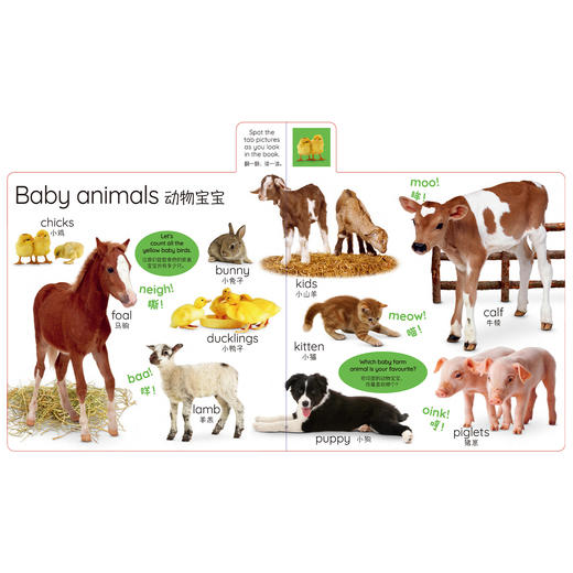 “DK儿童认知百科”系列：《 四季如歌》《日常生活》《开心农场》（全3册） 商品图10