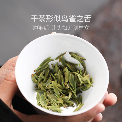 2025蒙顶雀舌 | 开春头采，大师手工制作，量少 商品图3