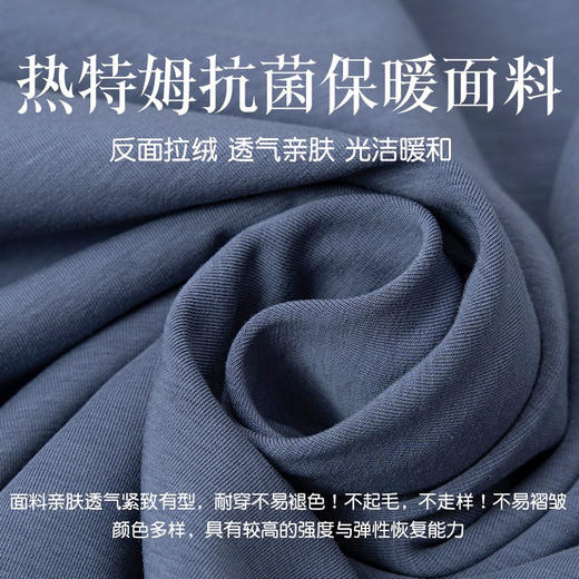 岸纾 日本进口热特姆莱赛尔保暖7A抗菌防螨260克T恤（6色可选）  经典内搭半高领柔软舒适N1850 商品图2