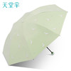 【搞怪小鹅 乐趣随性！】太阳下的魔法伞，紫外线全城防护。折叠轻盈，风雨无惧。生活需要一丝魔幻，从天堂伞开始。 商品缩略图7