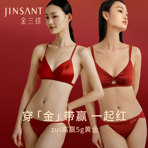 一起红】金三塔桑蚕丝文胸套装红色婚庆三角杯文胸内裤组合红品本命年   NSF8A302LH/NZFDA306LH 商品图0