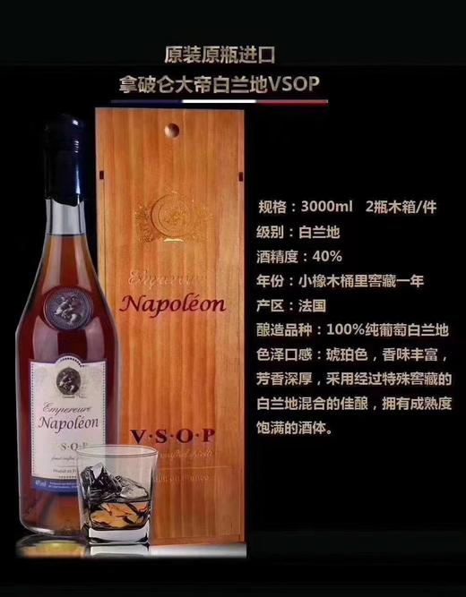 拿破仑VSOP白兰地洋酒法国原瓶原装进口洋酒 40%vol蒸馏白兰地洋酒700ml 单支装 700ml 1000ml 1500ml 3000ml 多规格 单瓶装-XJ 商品图0