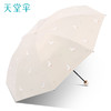 【搞怪小鹅 乐趣随性！】太阳下的魔法伞，紫外线全城防护。折叠轻盈，风雨无惧。生活需要一丝魔幻，从天堂伞开始。 商品缩略图6