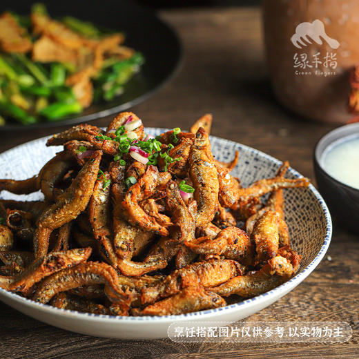 野生公鱼| 合作生产 * Carassius auratus | Partner Production 商品图3