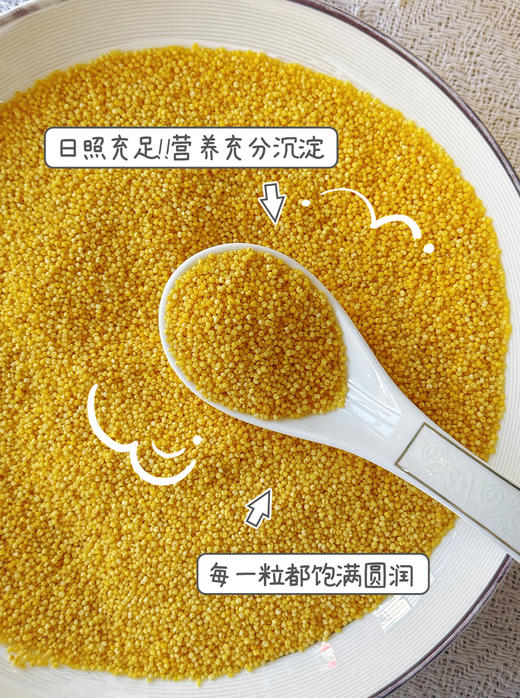 忆香湾有机小米500g 商品图2