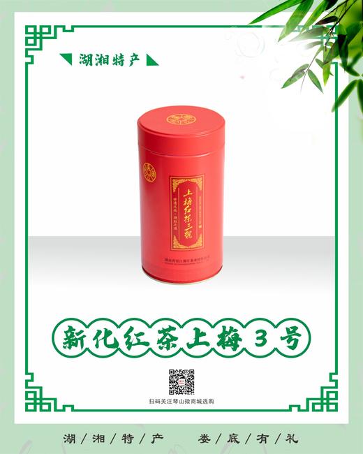 新化红茶 上梅3号 商品图2