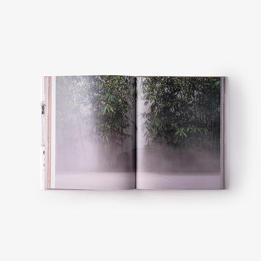 【官方发售】大董意境美学·设计方案 商品图6