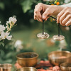 春季排毒一日营 商品缩略图0