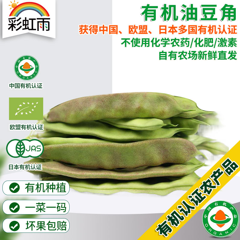 彩虹雨新鲜青菜蔬菜东北油豆角250g欧盟认证京津冀满百包邮