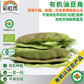 彩虹雨新鲜青菜蔬菜东北油豆角250g欧盟认证京津冀满百包邮
