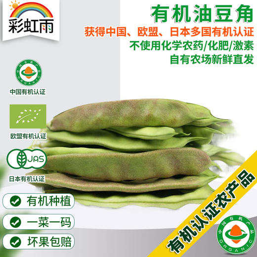 彩虹雨新鲜青菜蔬菜东北油豆角250g欧盟认证京津冀满百包邮 商品图0
