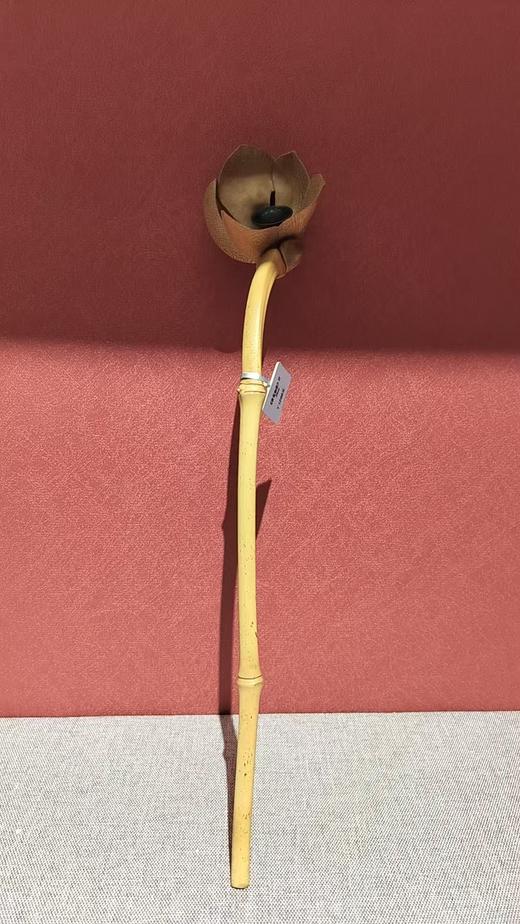 竹如意 商品图0