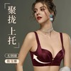 SDIBANNY圣迪班尼【漫画胸】 调整型聚拢上托防下垂文胸23452 商品缩略图2