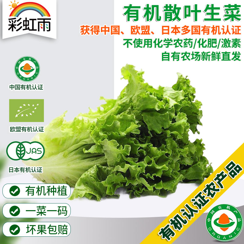 全国发货满额包邮 新鲜有机蔬菜 散叶生菜250g 欧盟认证彩虹雨