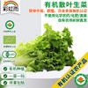 全国发货满额包邮 新鲜有机蔬菜 散叶生菜250g 欧盟认证彩虹雨 商品缩略图0