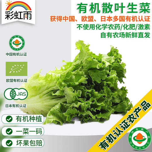 全国发货满额包邮 新鲜有机蔬菜 散叶生菜250g 欧盟认证彩虹雨 商品图0