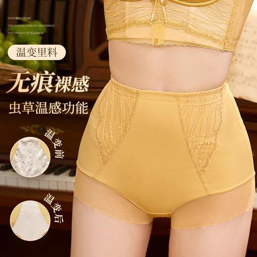 圣迪班尼【满天星配套收腹裤】高腰透气提臀裤23672 商品图2