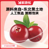 解唐忧 控糖蓝蔓果干100g（5包蓝莓+5包蔓越莓）原色原香原果 商品缩略图5
