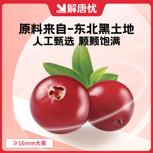 解唐忧 控糖蓝蔓果干100g（5包蓝莓+5包蔓越莓）原色原香原果 商品图5