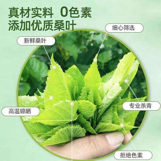 绿色桑叶面条 真桑叶  无添加  0色素 0防腐剂    营养均衡 零蔗糖添加 200g/袋 商品图1
