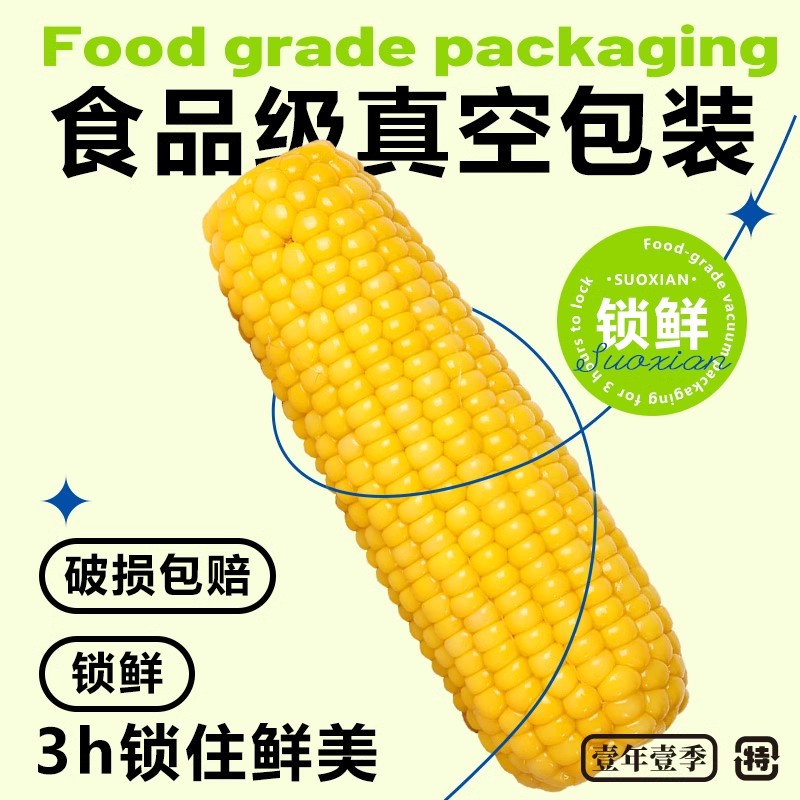 【鹿大叔】家庭有机黄糯玉米