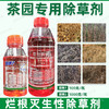 茶园专用除草剂正品草甘膦胺盐柑橘果园专用强力除杂草烂根剂批发 商品缩略图4
