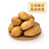 【土豆】甘肃土豆 新鲜 基地现挖 蒸煮3斤 商品缩略图2