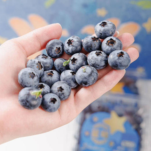 【2026当季】花香蓝莓 云南高原 口感脆甜 花香浓郁 商品图1