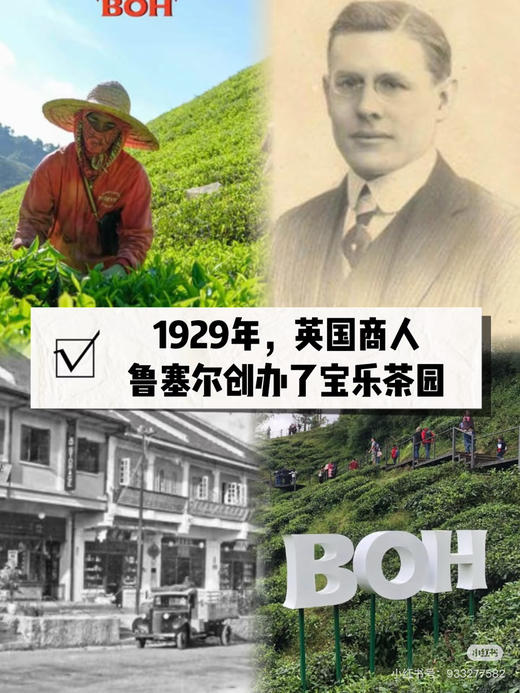 马来西亚BOH 红茶40包 商品图3
