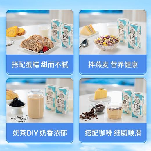 【来思尔椰子牛奶】 206g*16盒整箱批发网红椰汁风味成人学生早晚餐奶 商品图3