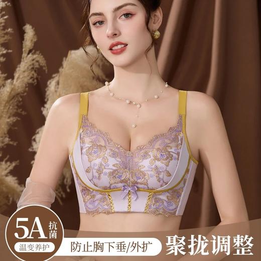 【圣迪班尼-玫瑰之约】小胸聚拢防下垂文胸23514 商品图0